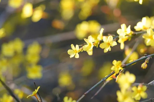 索尼fe135mmf1.8gm扫街,索尼fe135mmf1.8值得买吗