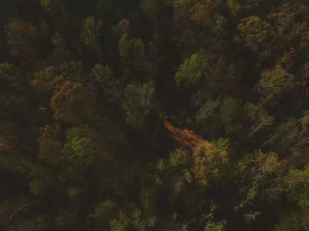 《史记》中最经典的10句话,每一句都直击人性,幡然醒悟