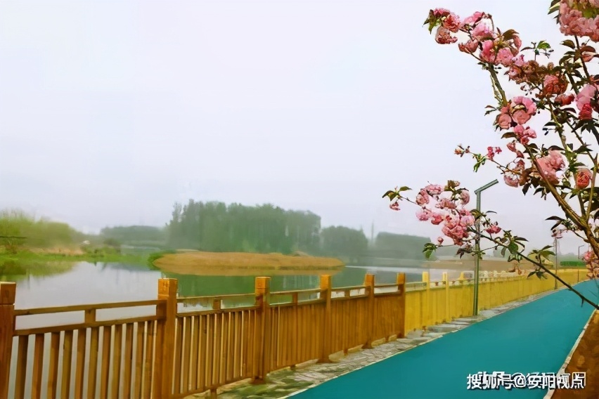 林州处处都是风景,林州市区美景