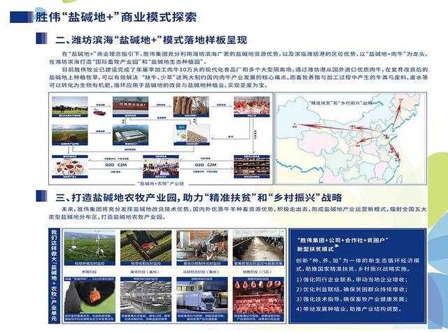 宁夏胜伟盐碱地科技有限公司,盐碱地养牛技术与管理知识