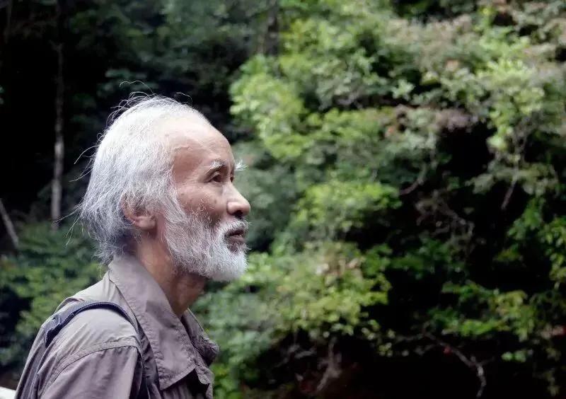 中国十大毒蛇莽山烙铁头,莽山烙铁头蛇全球排名第几毒