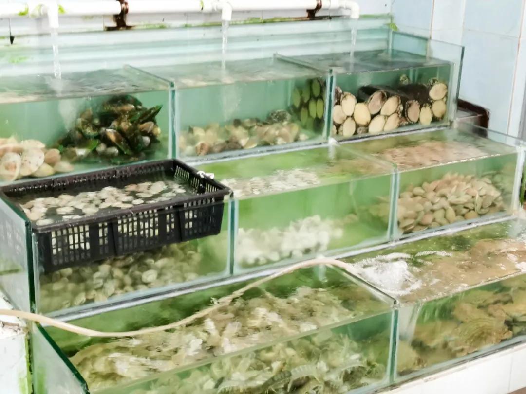 寻味金湾,金湾最出名的餐厅