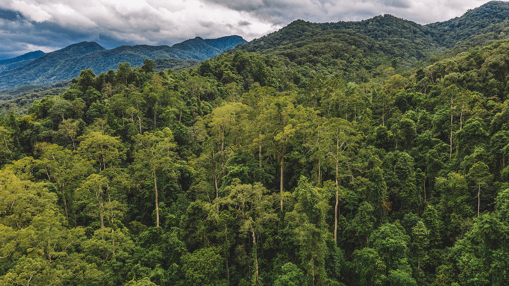西双版纳泼水节野象谷,西双版纳旅游野象谷全攻略