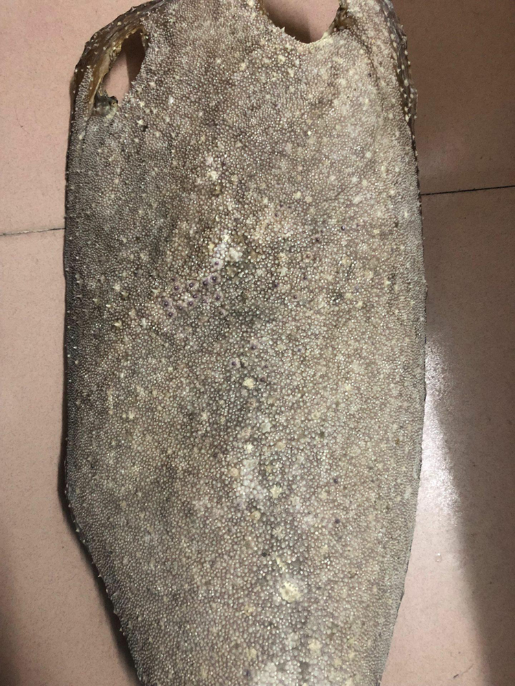 十大珍稀皮料,珍稀皮革