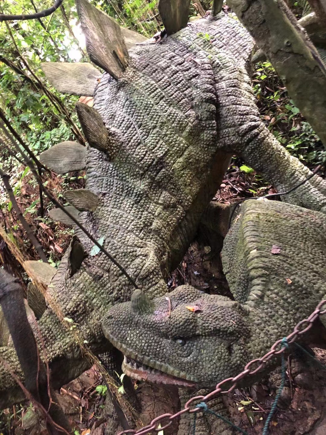 深圳青青世界公园,深圳青青世界门票