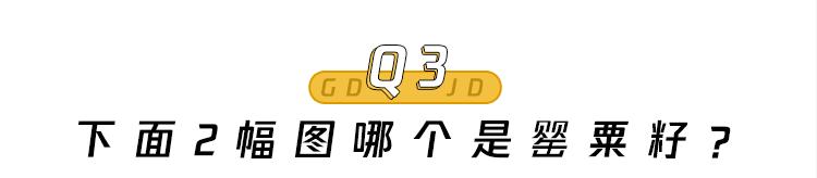 特殊时期的火锅,特殊时期可以吃什么外卖