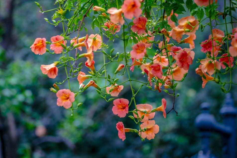 在济南花式避暑，一见“清”心！只需一瞥，便足以把酷夏原谅…