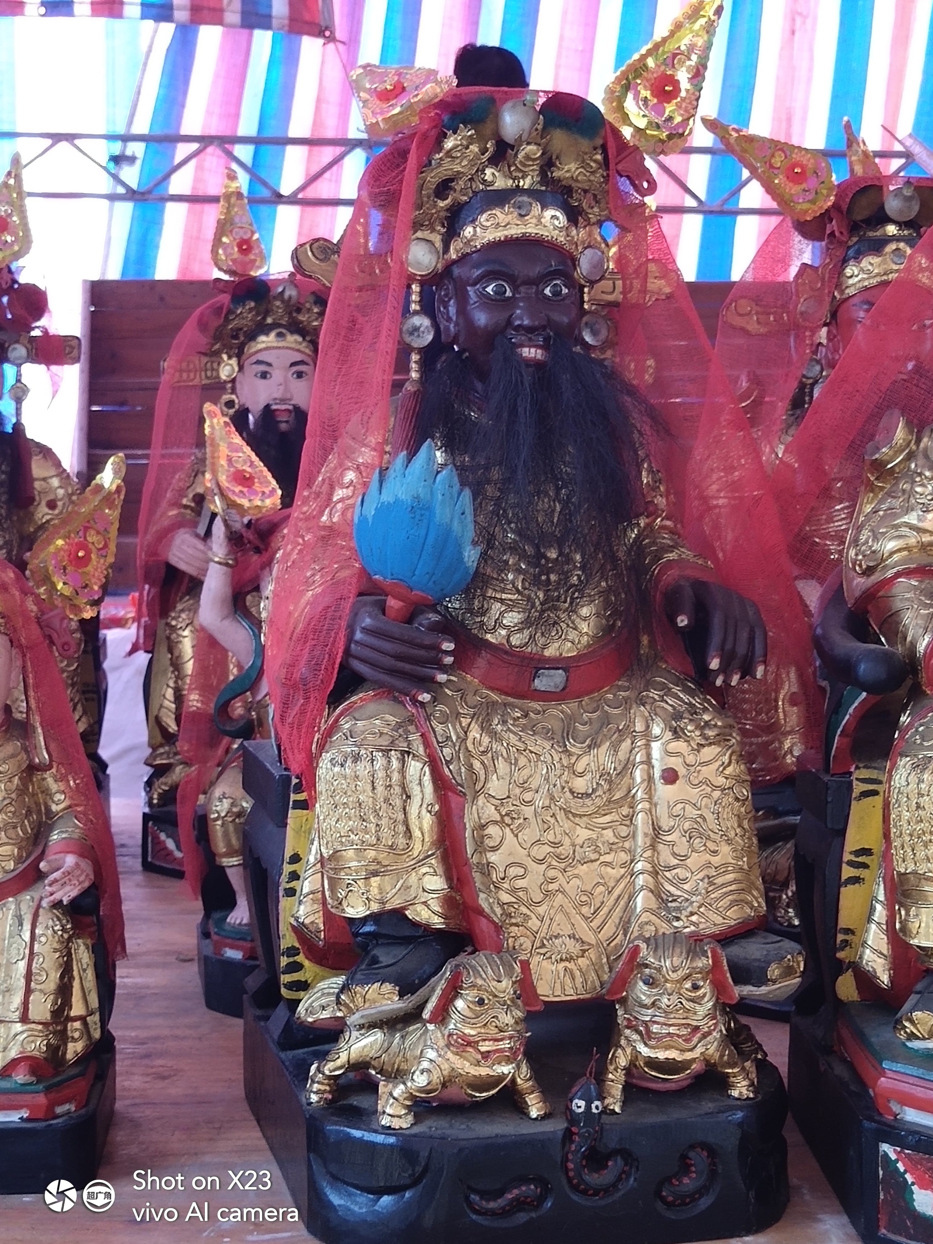 雷州乌王神的传说,雷州乌王照片