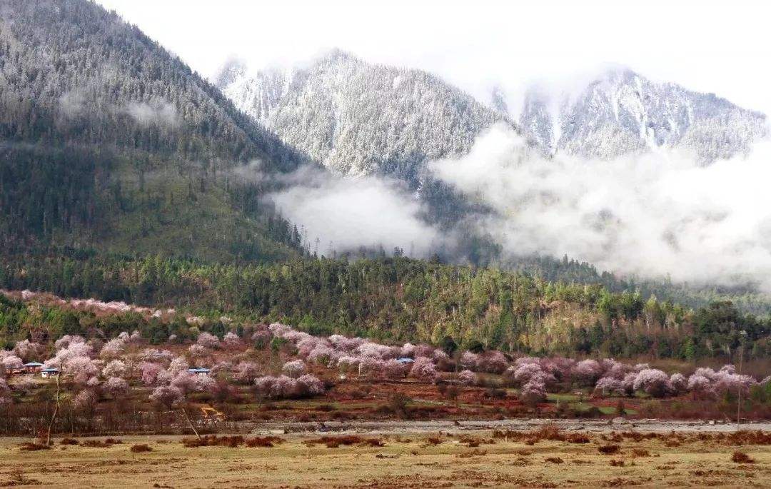 领先整整一代,难怪当年战后中国归还印度*器武**,二战老枪看不上