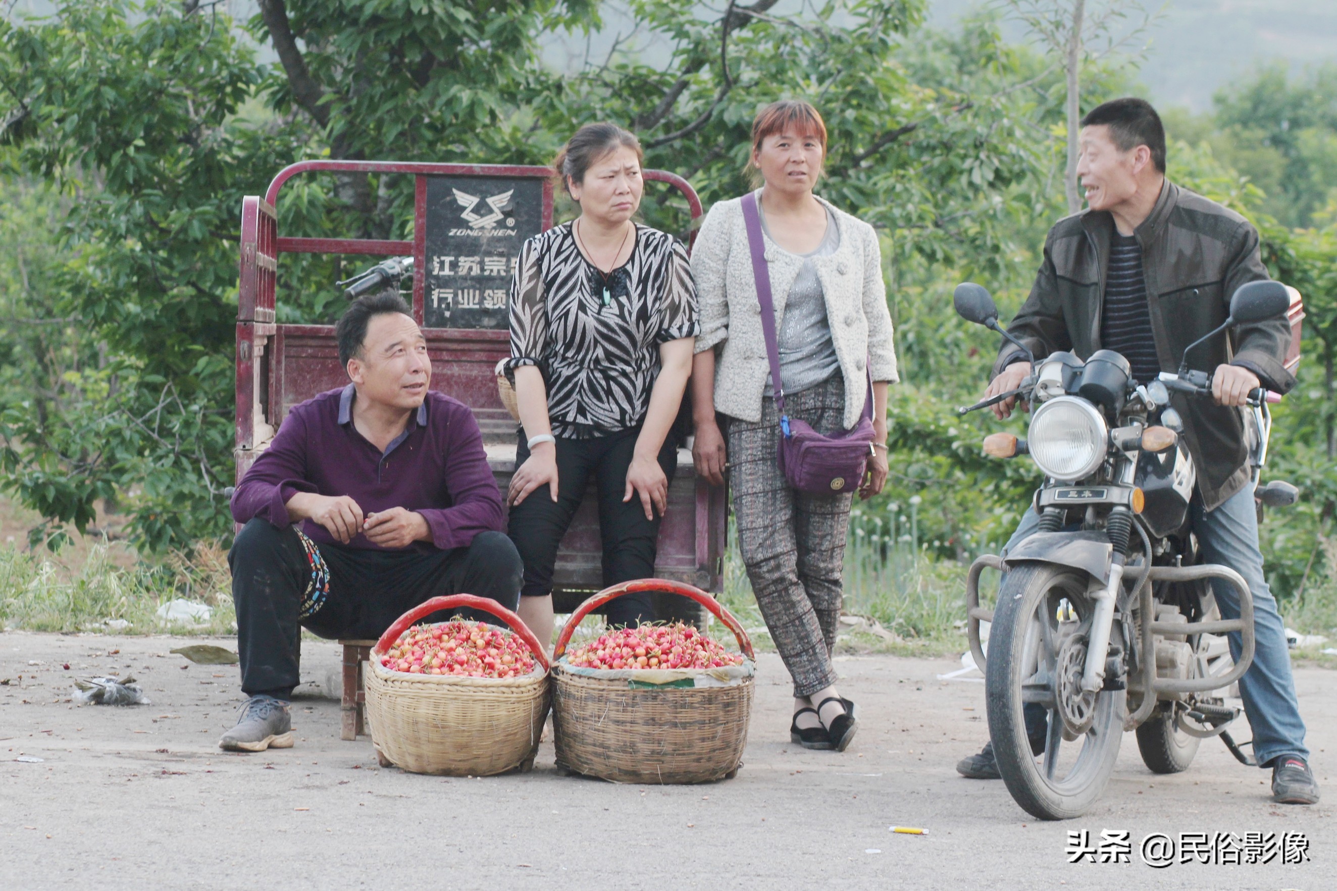 樱桃价格为什么相差那么大,大连美早樱桃价格表