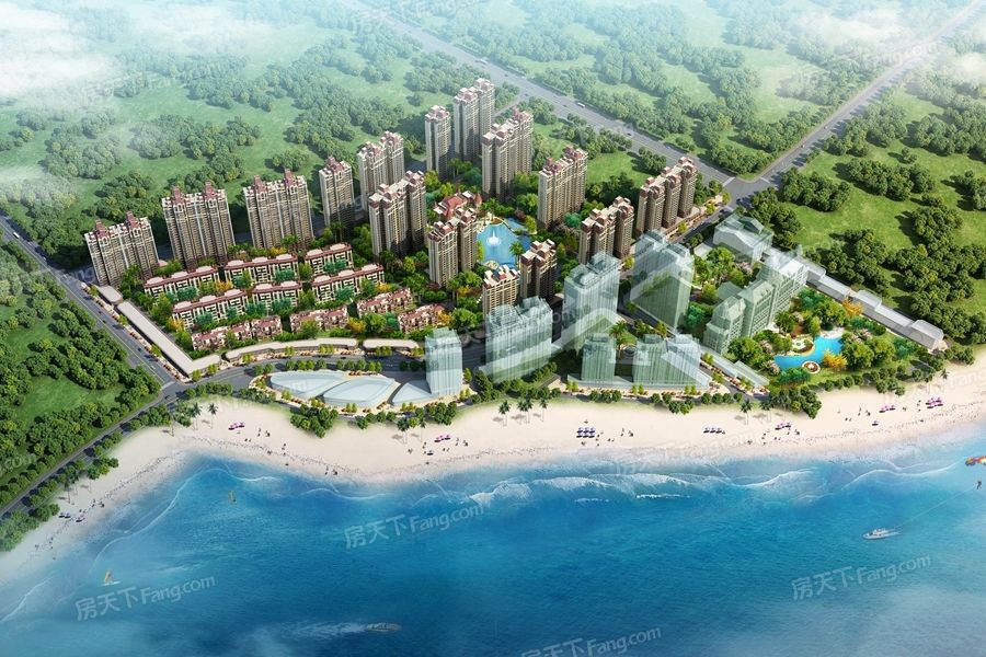 北海候鸟最多的地方,广西北海候鸟过冬最近新视频