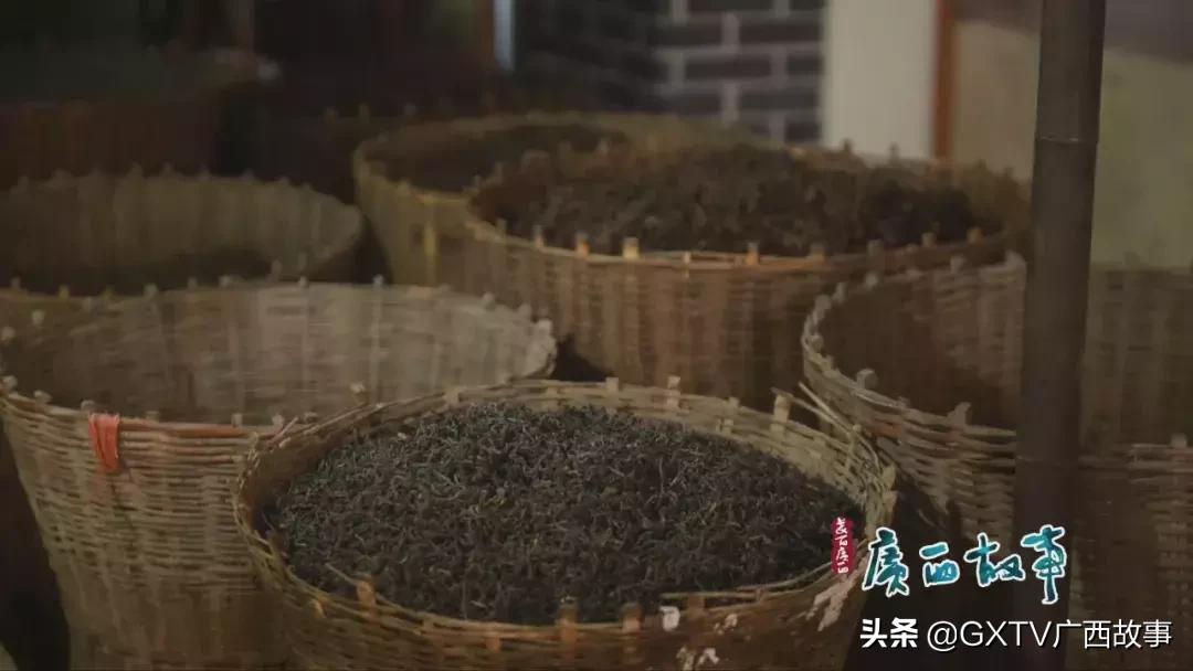 当年下南洋的广西、广东劳工，靠这茶水顶住了艰苦恶劣的环境！