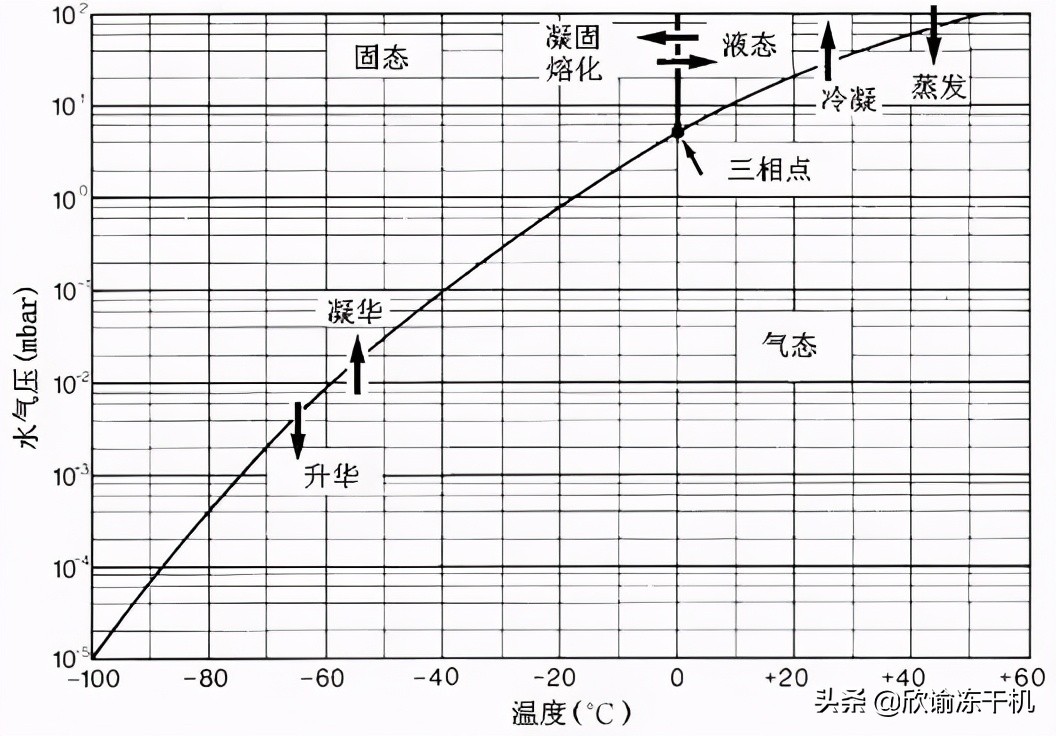 污泥真空干燥机原理,耙式真空干燥机原理