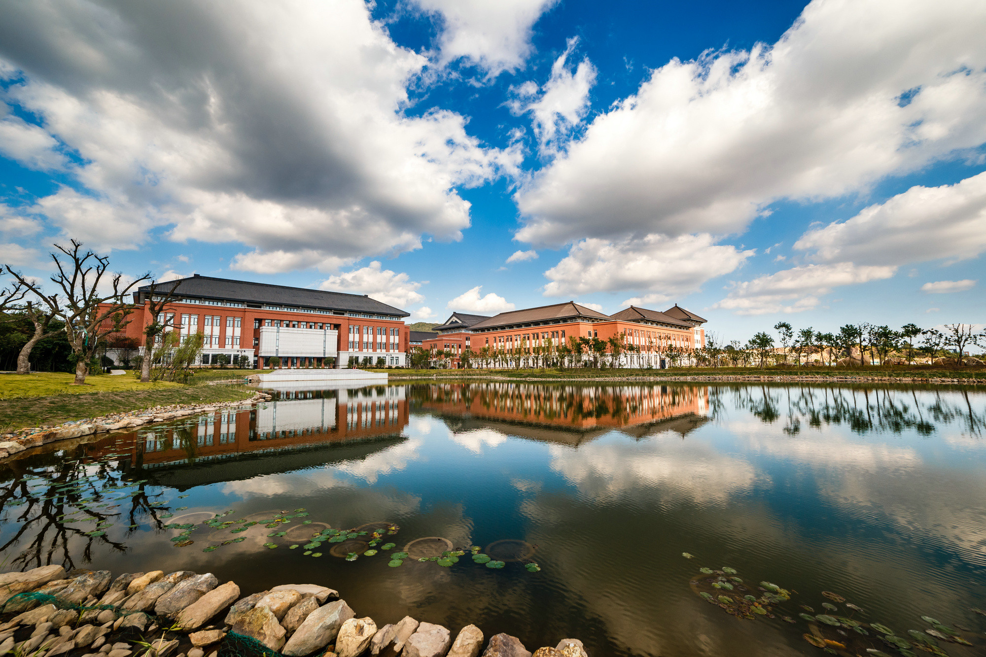 浙江大学招生政策解读,浙江大学国际本科3+1招生简章