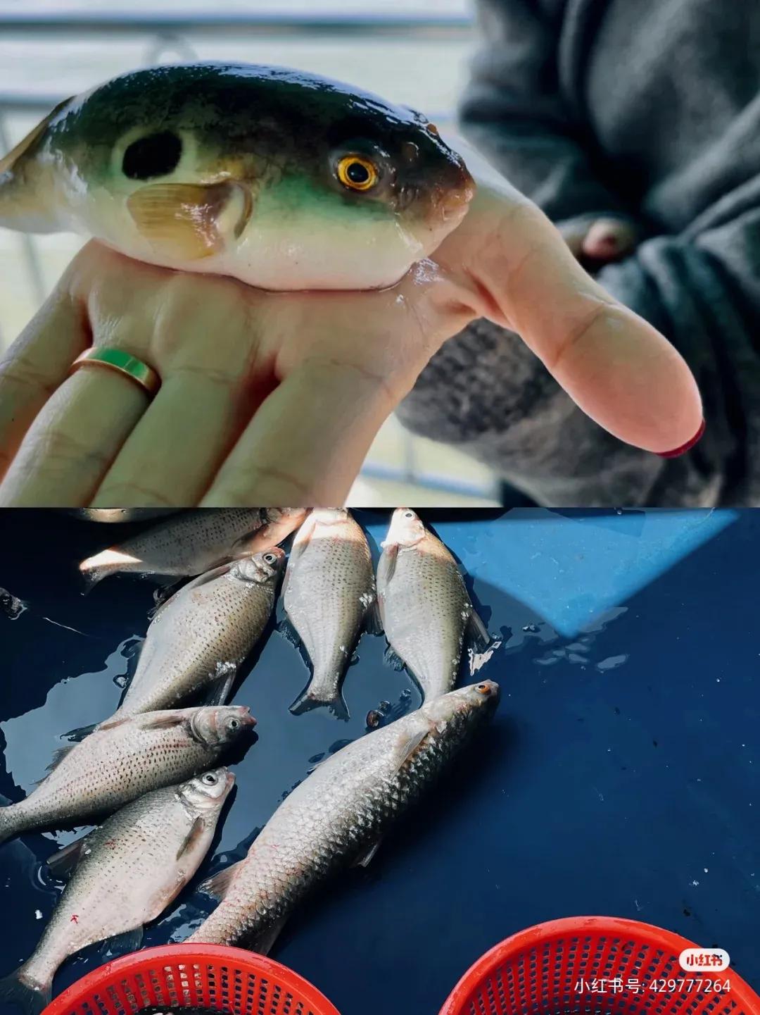 枸杞岛东方小希腊素材,被称东方小希腊风光无限的枸杞岛