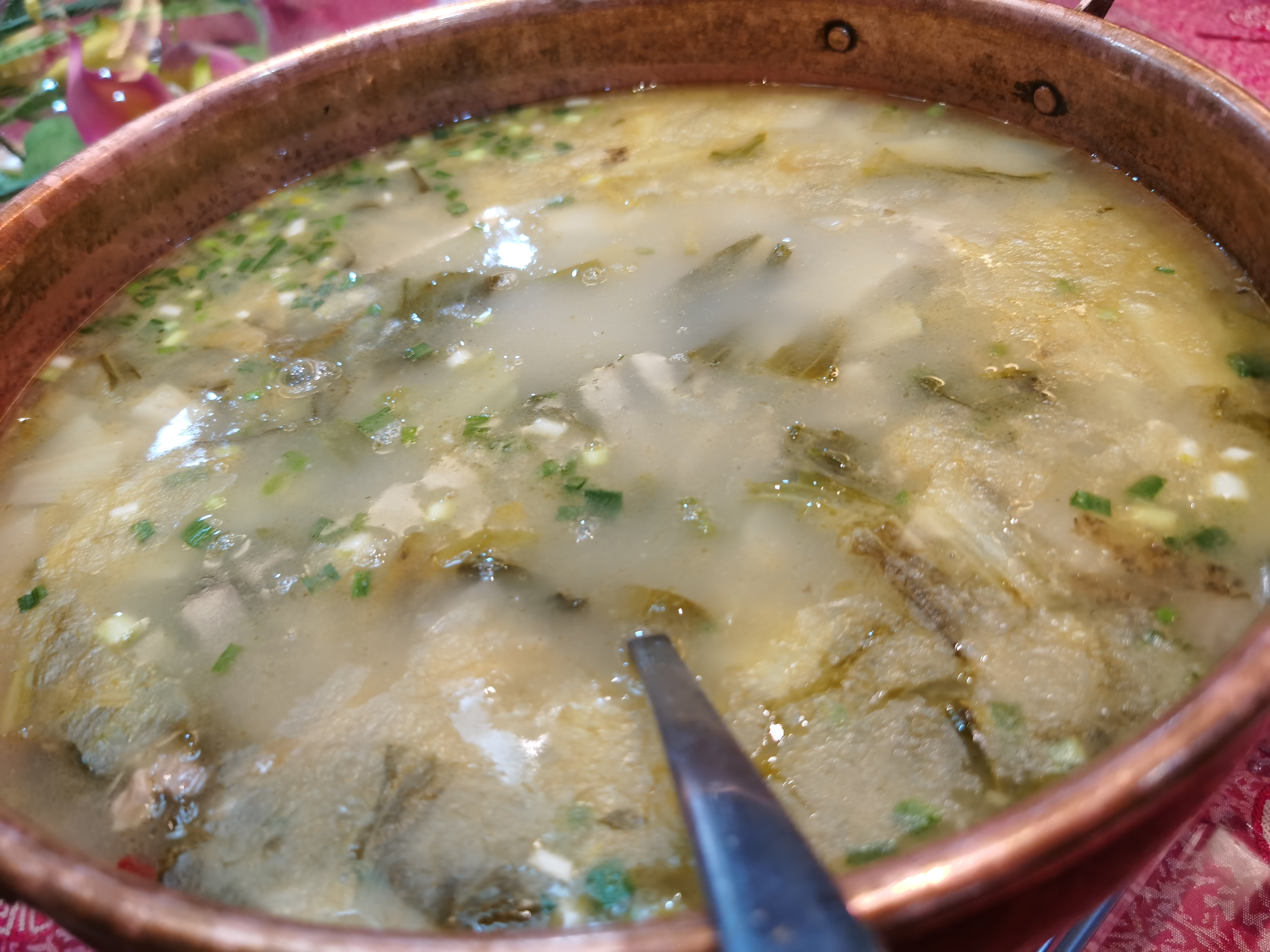 上海高铁直达旅游城市,上海高铁直达