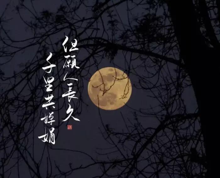 喜欢苏东坡的人经典语录,喜欢苏东坡的理由