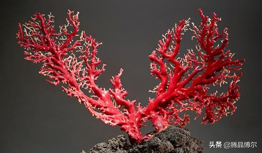 腾晶博尔‖传说中的这七款辟邪能力超强的宝石你了解通过吗？