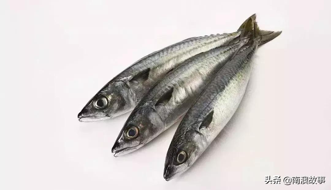 南澳渔民捕鱼视频,南澳渔民出海