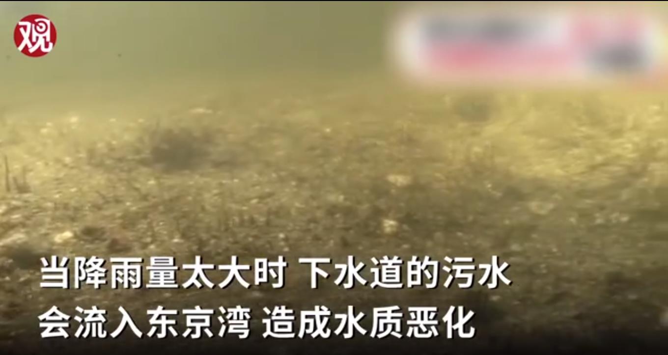 东京奥运会大肠杆菌超标,东京湾的海水检测出大肠杆菌超标