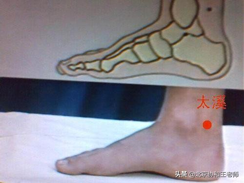 董氏奇穴治疗肾阳虚的穴位,穴位补肾阴虚