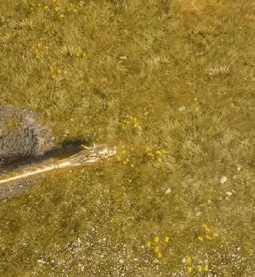 閲嶅潶涓荤偖,鐙紡閲嶅潶涓荤偖