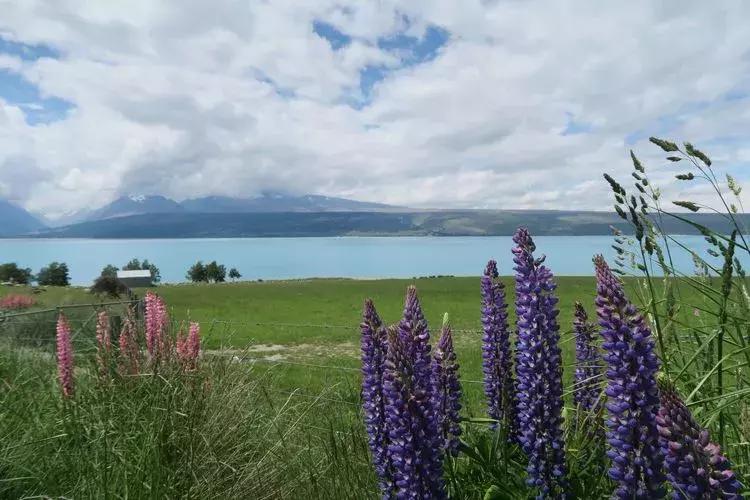 新西兰南岛有哪些城镇的湖,新西兰姊妹湖在哪里