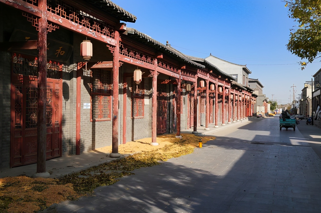 滨州有冬枣吗,产自哪里的冬枣最好吃