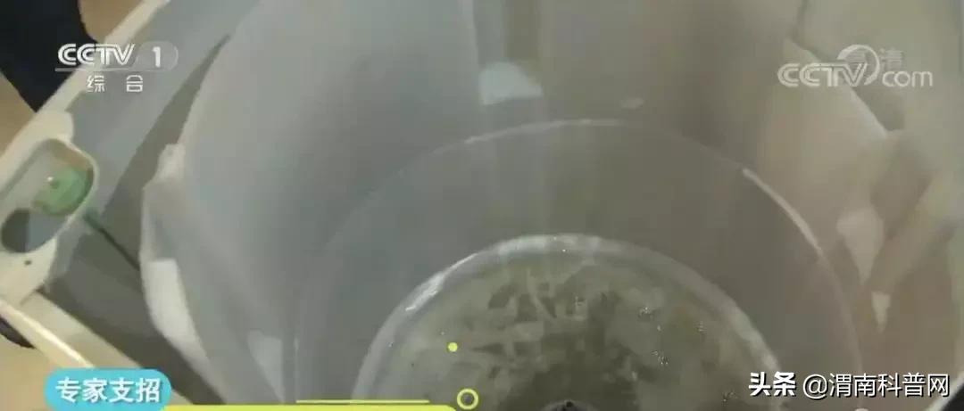 洗衣机的细菌怎么清除,洗衣机暗藏细菌怎么处理