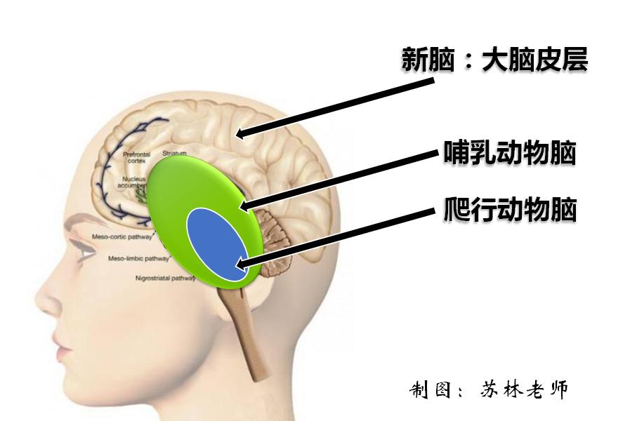 让孩子变聪明看什么书,如何正确引导孩子成长书籍