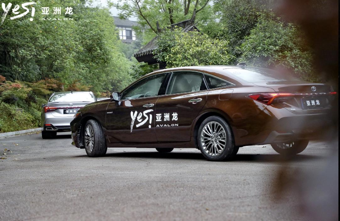 与龙共舞亚洲龙,与龙同行国语版