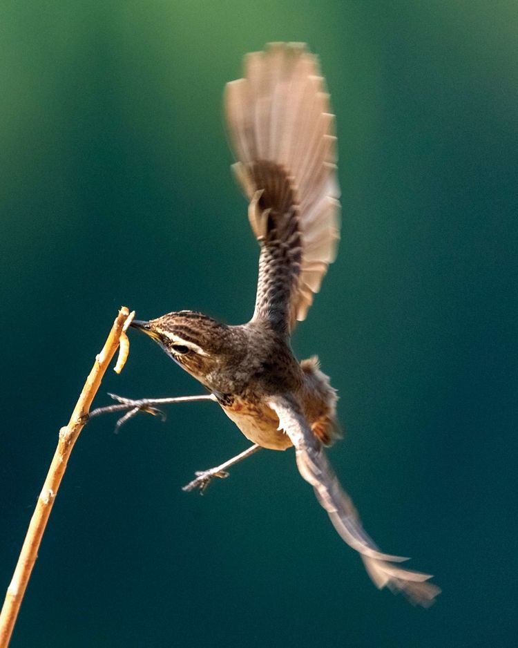 情人岛拍摄地点,情人岛航拍视频