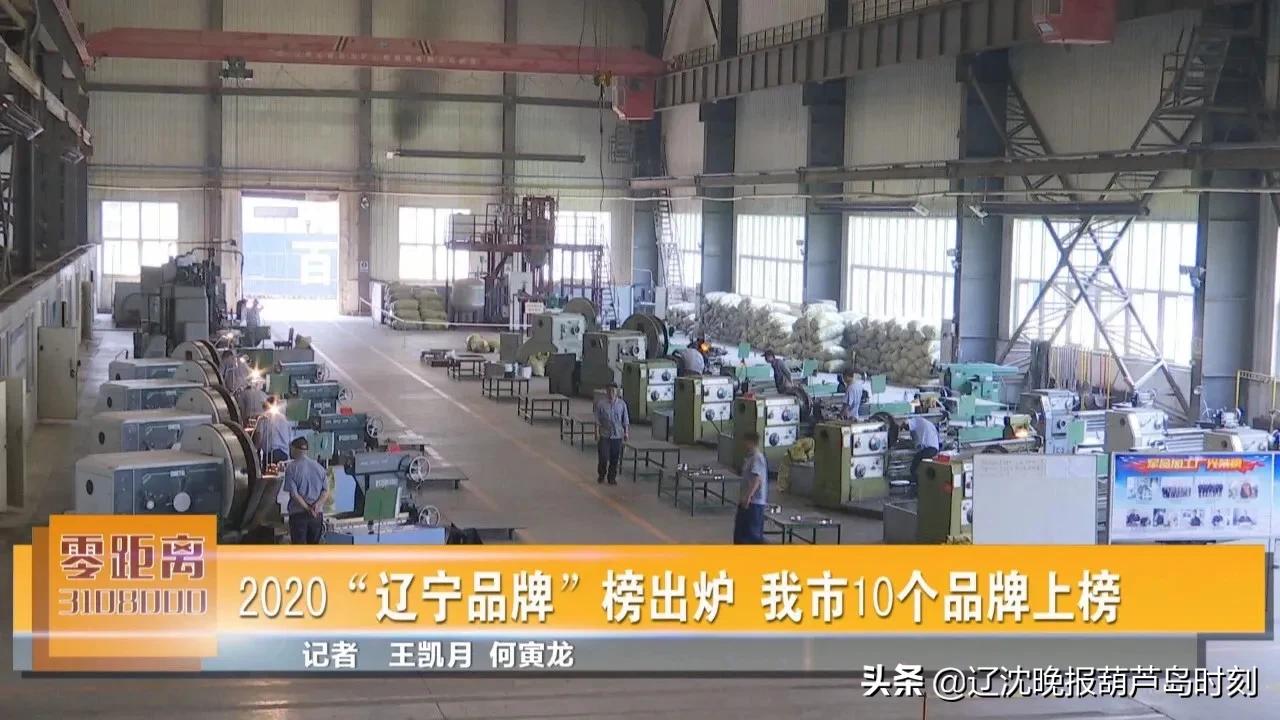 葫芦岛市10大热议资讯,葫芦岛今日新闻日报