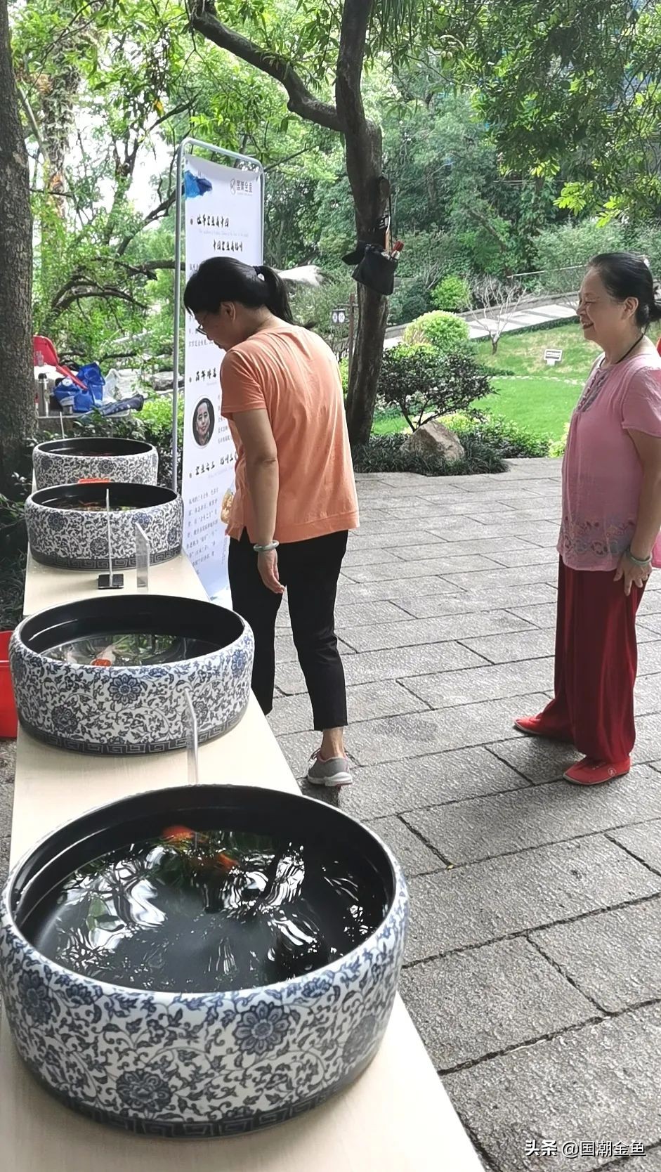 昨日,国潮金鱼在于山状元峰为中高考学子打call!