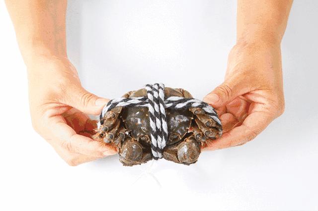 正宗阳澄湖大闸蟹用什么绑的,揭秘阳澄湖大闸蟹不能说的秘密