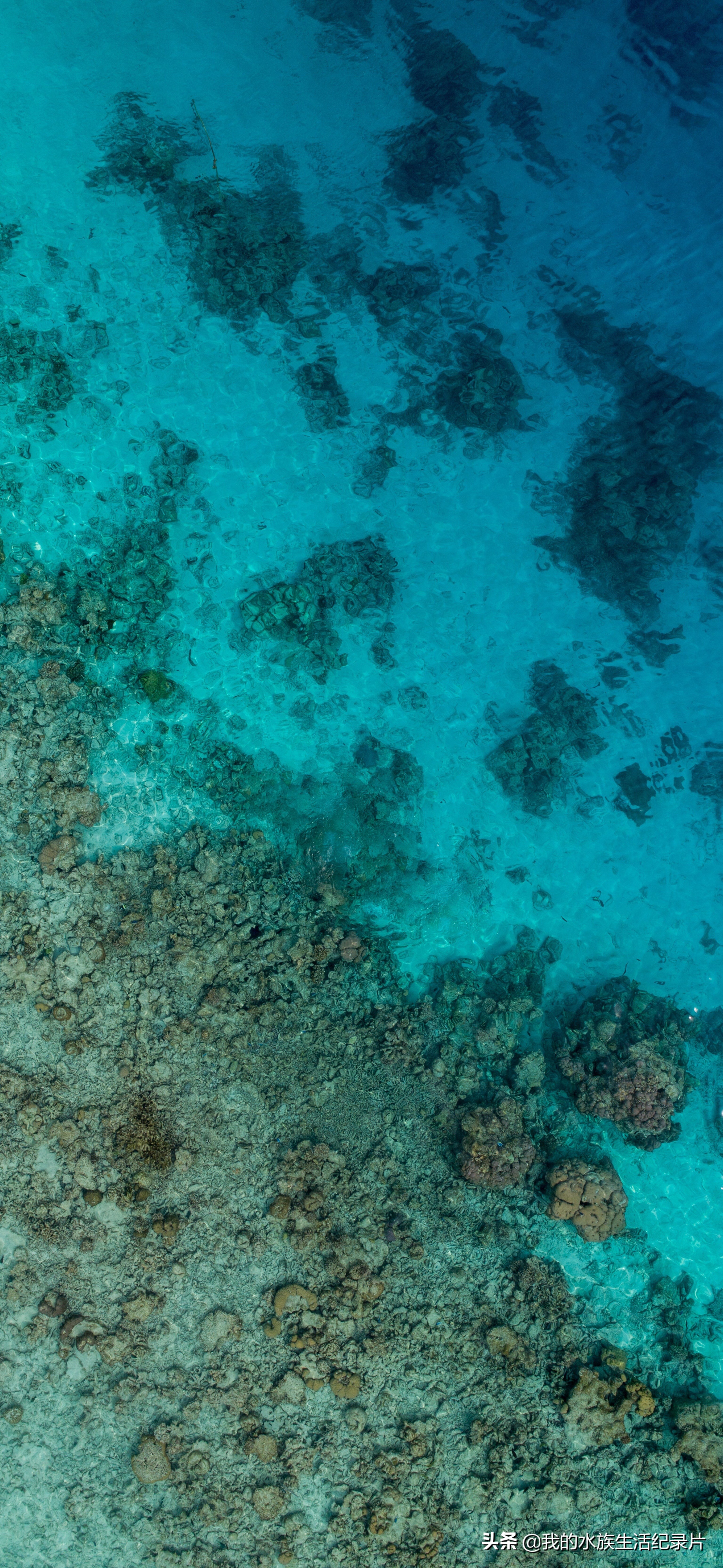 超高清海洋沙滩风景壁纸全屏,壁纸分享特别的海洋壁纸