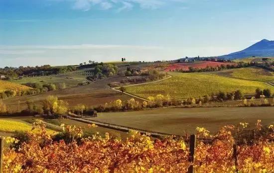 智利葡萄酒知识,教你一招看破智利的葡萄酒