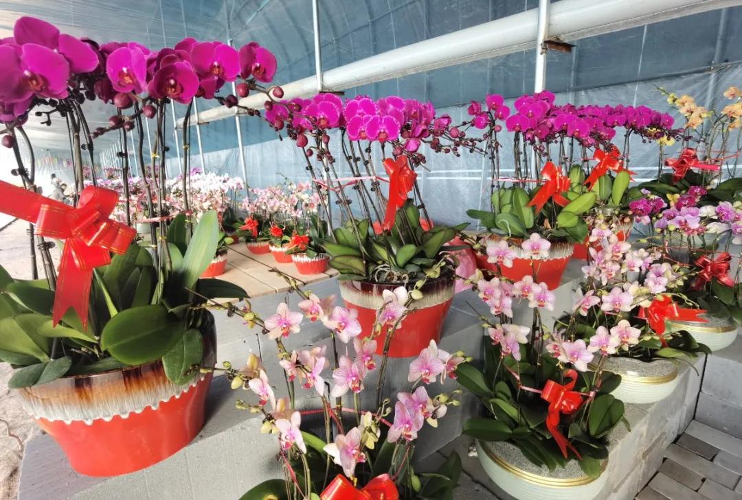 聊城滑雪场地推荐,聊城哪里有滑雪场地