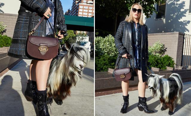 coach蔻驰鉴定,奢侈品包包鉴定师怎么考