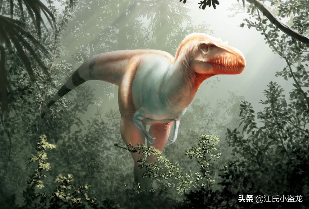 古生物时代有多少种恐龙,人类已经发现了多少恐龙种类