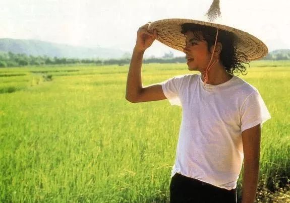 迈克尔杰克逊逝世10周年,迈克尔杰克逊逝世13周年