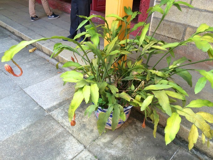 汕头南澳岛旅游住宿攻略,潮州南澳岛三日旅游攻略