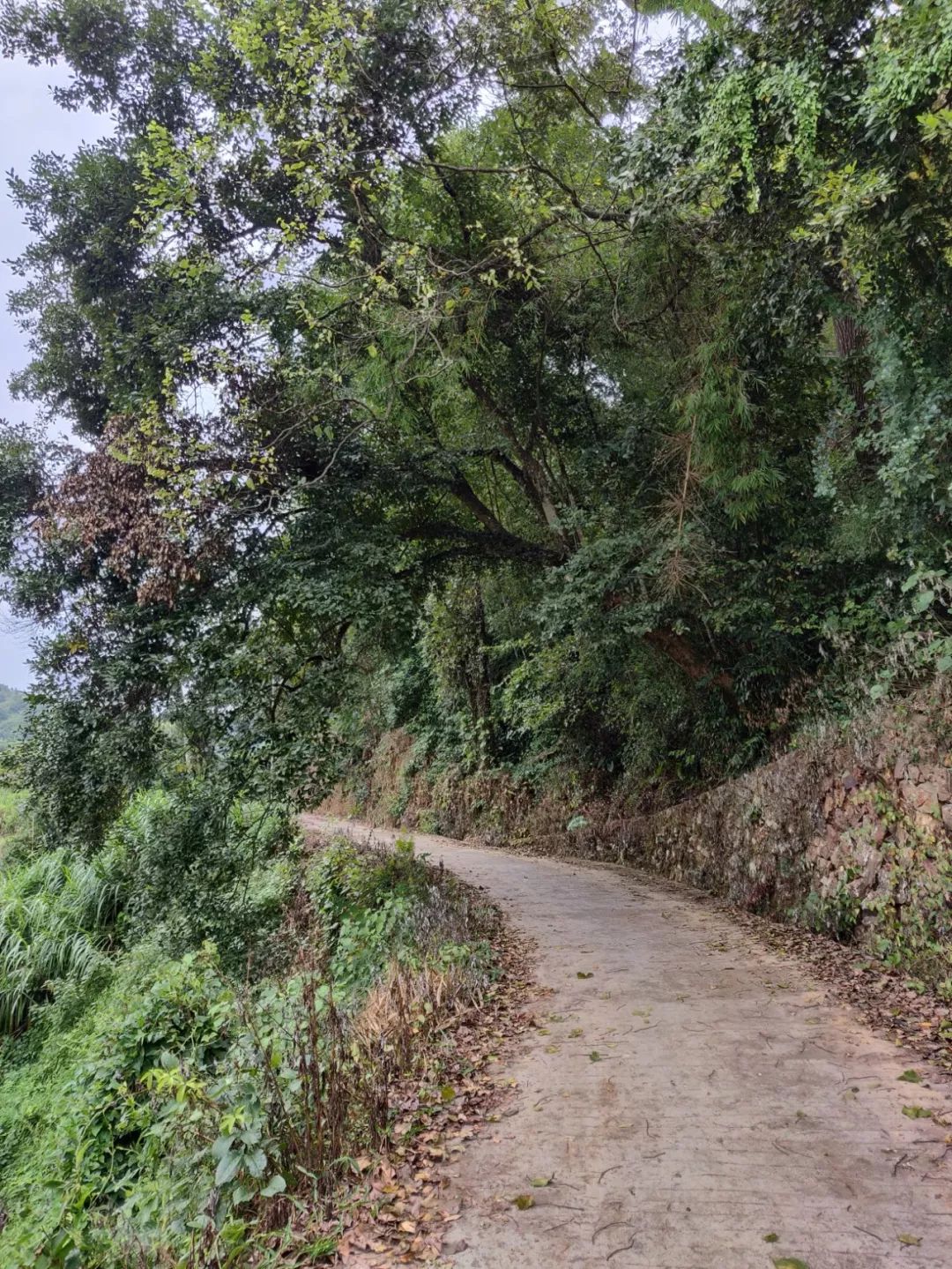 一加6t刷pixelexperience,一加6t评测