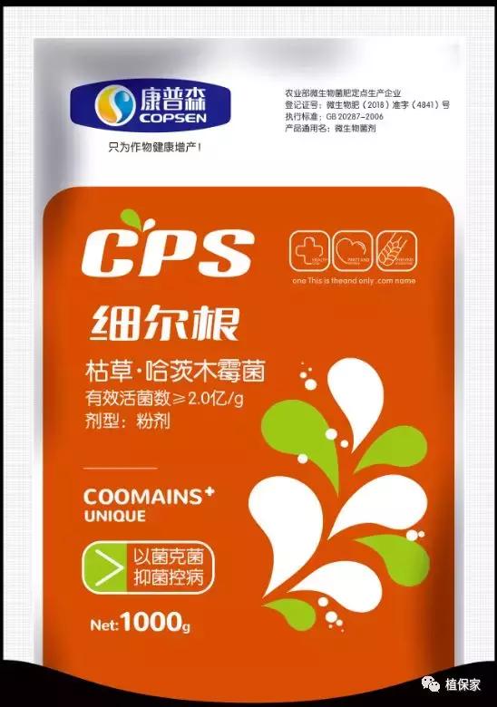 花生根腐病最新治疗方法,油菜根腐病的治疗方法