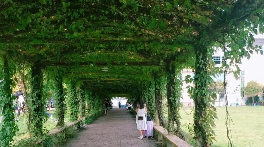 广东科学技术职业学院中专分数线,广东科学技术职业学院有本科嘛