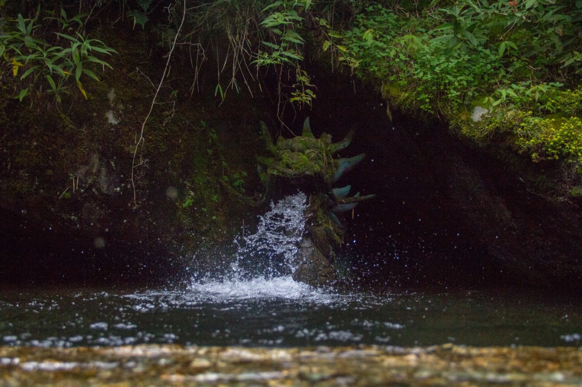 避暑攻略｜夏季均温19℃的大理苍山，才是当之无愧的纳凉避暑地