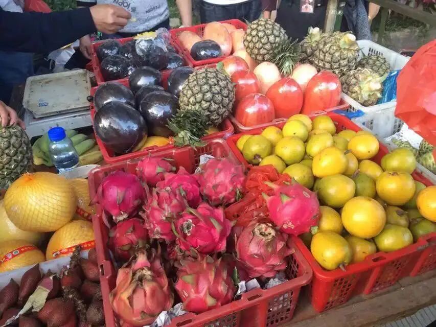 西双版纳风景之旅自由行旅游攻略,邂逅雨林西双版纳秘境之旅