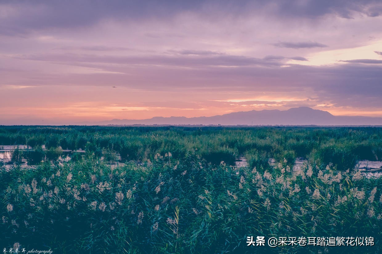 慢游景点,博斯腾湖景点打卡