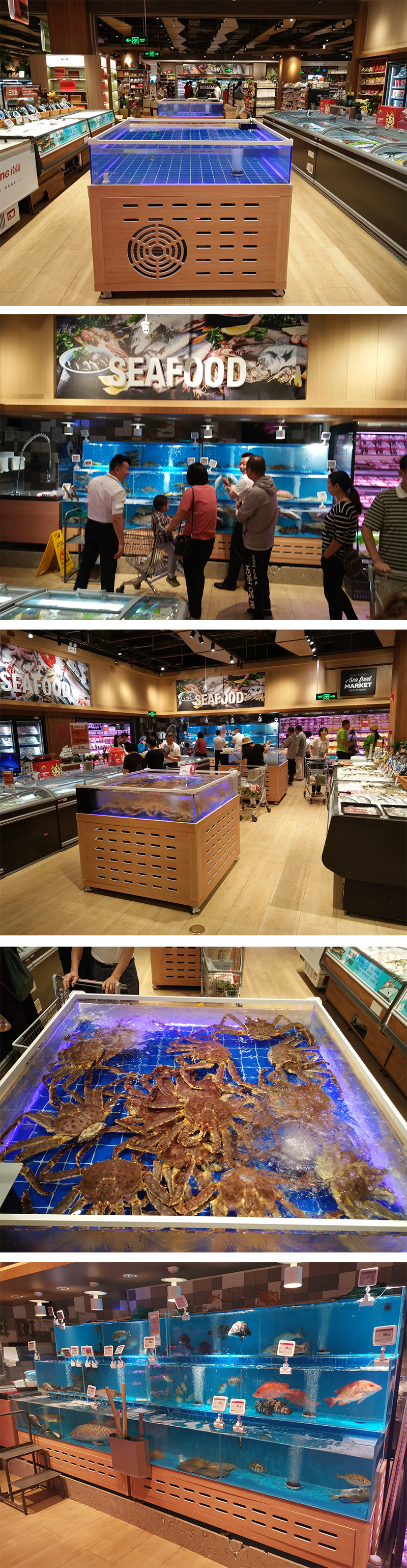 海鲜池养淡水鱼的方法和技巧,海鲜池养水过程