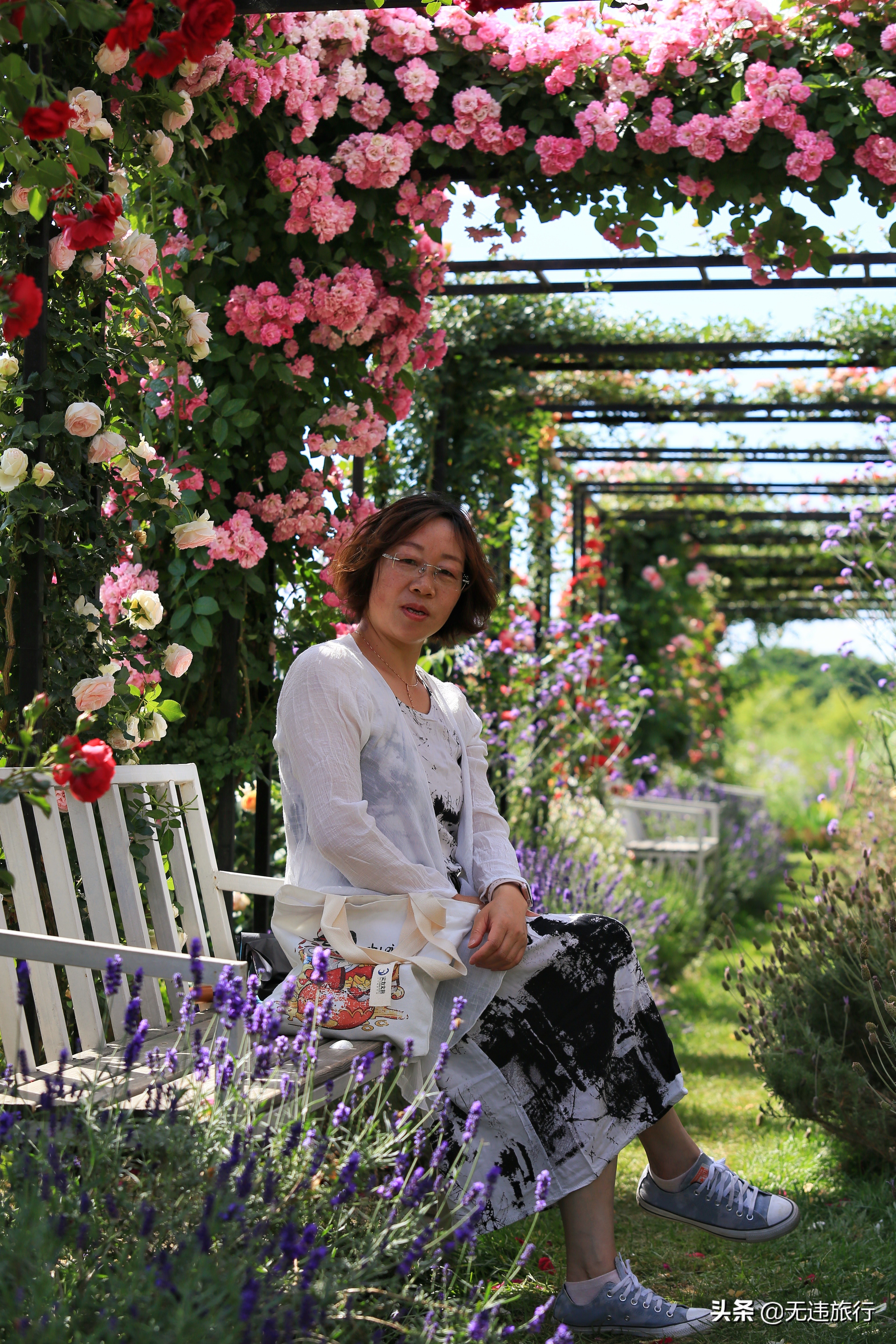 大理网红打卡地草场,大理网红打卡地猫米花园